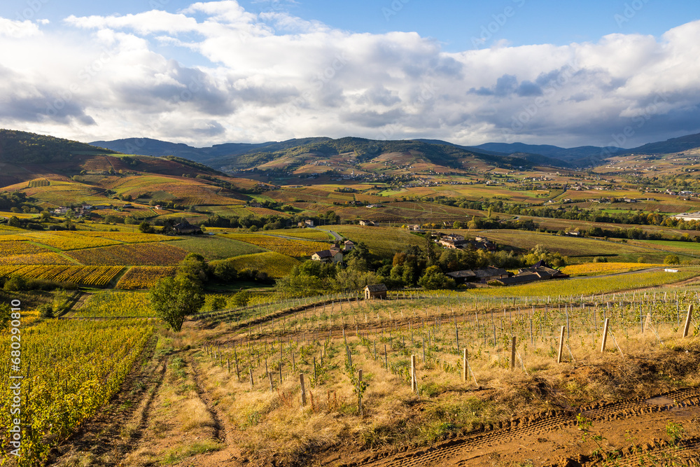 Panorama sur les monts et les vignes du Beaujolais depuis les flancs du Mont Brouilly