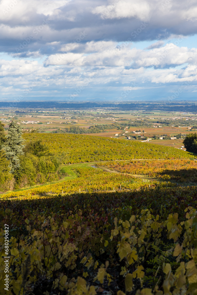 Paysage de la plaine de Villefranche-sur-Saône depuis le sommet du Mont Brouilly