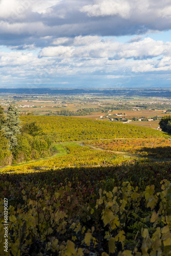Fototapeta Naklejka Na Ścianę i Meble -  Paysage de la plaine de Villefranche-sur-Saône depuis le sommet du Mont Brouilly
