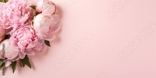 Pink peonies on pink background with copy space for text