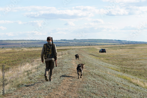 Mature man hunter with gun while walking on field with your dogs