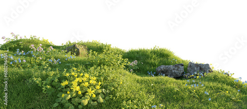 Fotografie Verdant Hill Blooming with Yellow Flowers in Spring. 3D render.