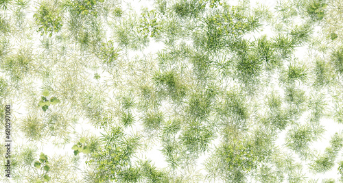 Obraz na plátně Leaves top view isolated on transparent background. 3D rendering.