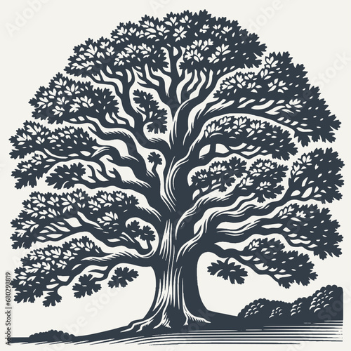 Oak tree. Vintage woodcut engraving style vector illustration.	

