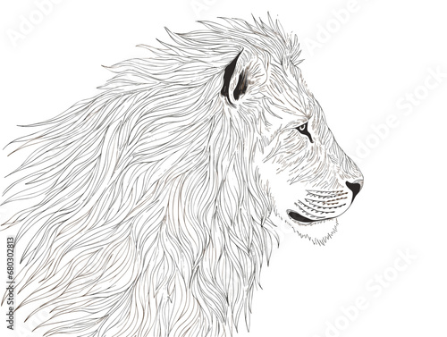 Fototapeta Naklejka Na Ścianę i Meble -  A Lion With Long Hair - Picture of lion of high-res with an artistic background