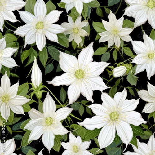 Beautiful Flowers of Clematis Paniculata  Cloud-Like Blooming White Clematis