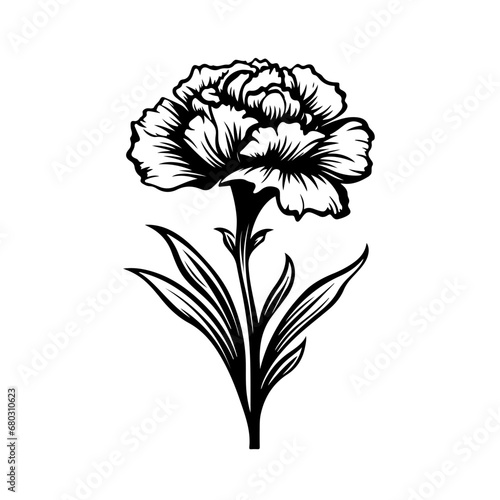  Delicate Carnation Flower Vector Illustration