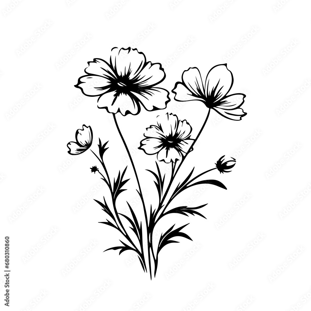 Ethereal Cosmos Flower Vector Illustration Ethereal Cosmos Flower Vector Illustration