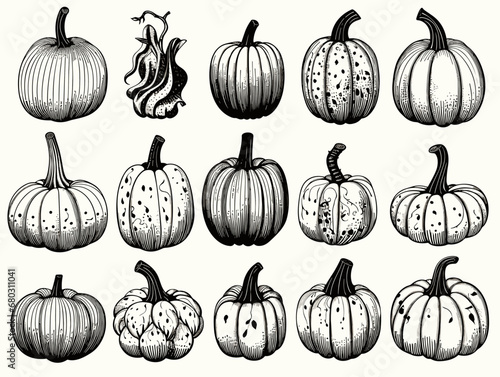 A Collection Of Pumpkins - Pumpkins picks and ready for sale.