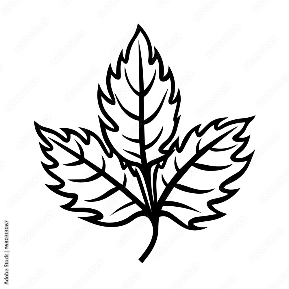 Autumnal Fall Leaf Vector Illustration