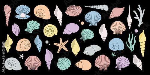 Scallop sea shells. Tropical underwater shells set. Freshwater algae, corals, starfish, sea mollusks, scallop, pearls. Vector illustration.