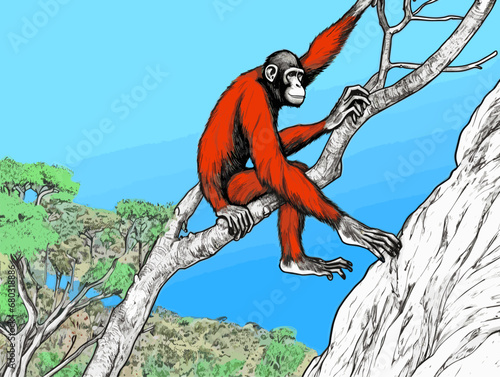 A Monkey Sitting On A Tree Branch - Alone adult chimp sitting on a cliff and thinking