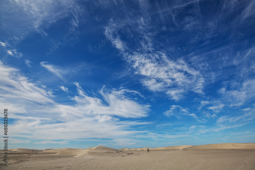 Fototapeta premium Sand dunes