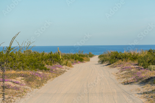 Road in Baja