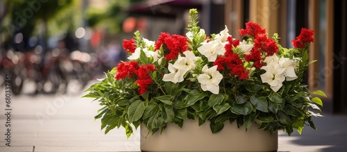 On the street display  a beautiful floral arrangement of white and red flowers enhances the natural beauty of the surroundings  showcasing the stunning botanical blooms and vibrant green foliage.