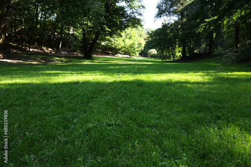 Beautiful fresh green grass in park on sunny day