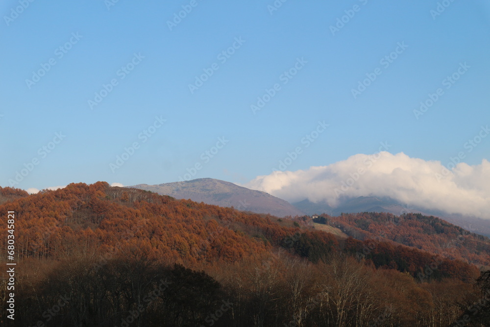 Majestic mountain forest and ski slopes in the beautiful autumn landscape in nagano Japan.