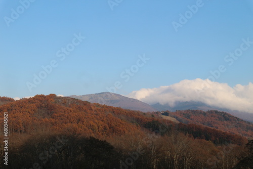 Majestic mountain forest and ski slopes in the beautiful autumn landscape in nagano Japan.