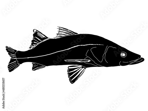 A black silhouette of a Snook Fish with a white outline and sketched