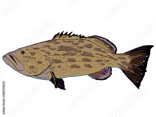 Картината върху платно A colorful Black Grouper fish