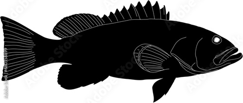 A silhouette of a Rock fish