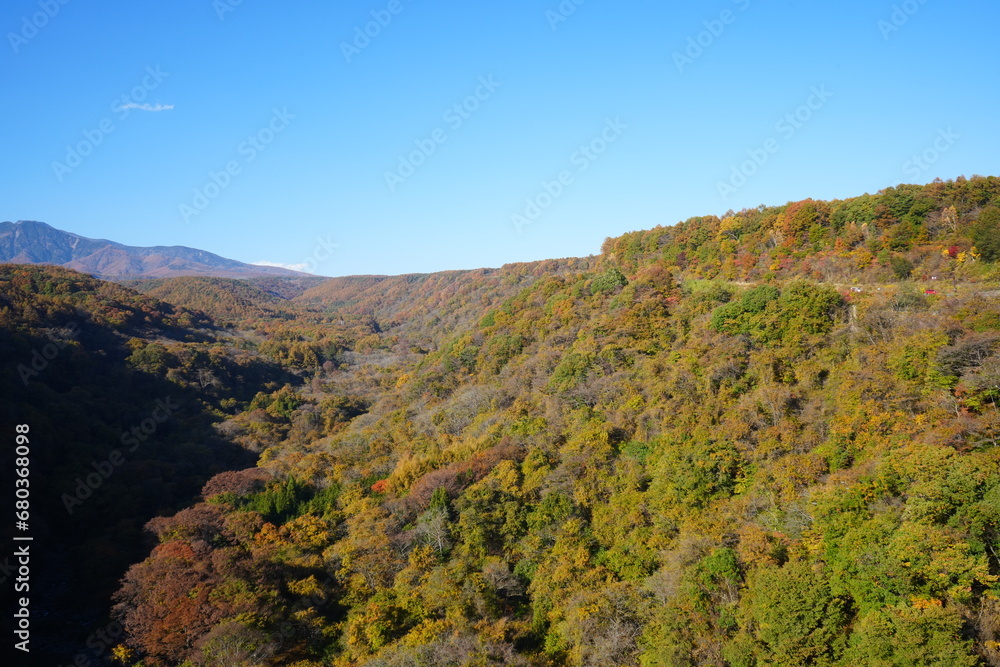 Autumn Landscape of Yatsugatake in Yamanashi, Japan - 日本 山梨県 八ヶ岳 紅葉 Autumn Landscape of Yatsugatake in Yamanashi, Japan - 日本 山梨県 八ヶ岳 紅葉