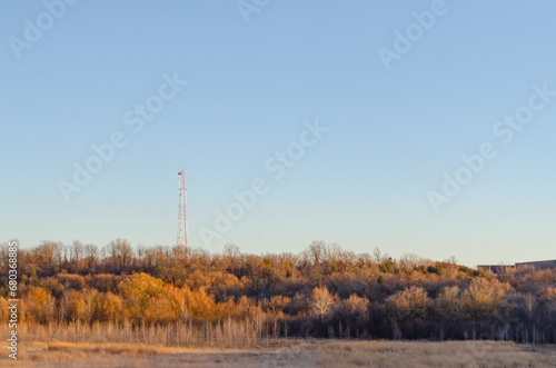 landscape with trees
