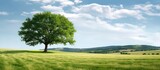In the distance, a beautiful, green tree stood tall among the fields of an expansive farm, its vibrant presence a testament to the beauty of outdoor agriculture.
