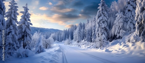 In Europe, during the winter season, the enchanting landscape is blanketed in white snow as the frost-kissed trees stand tall, creating a picturesque outdoor scene forest, with the icy road winding photo