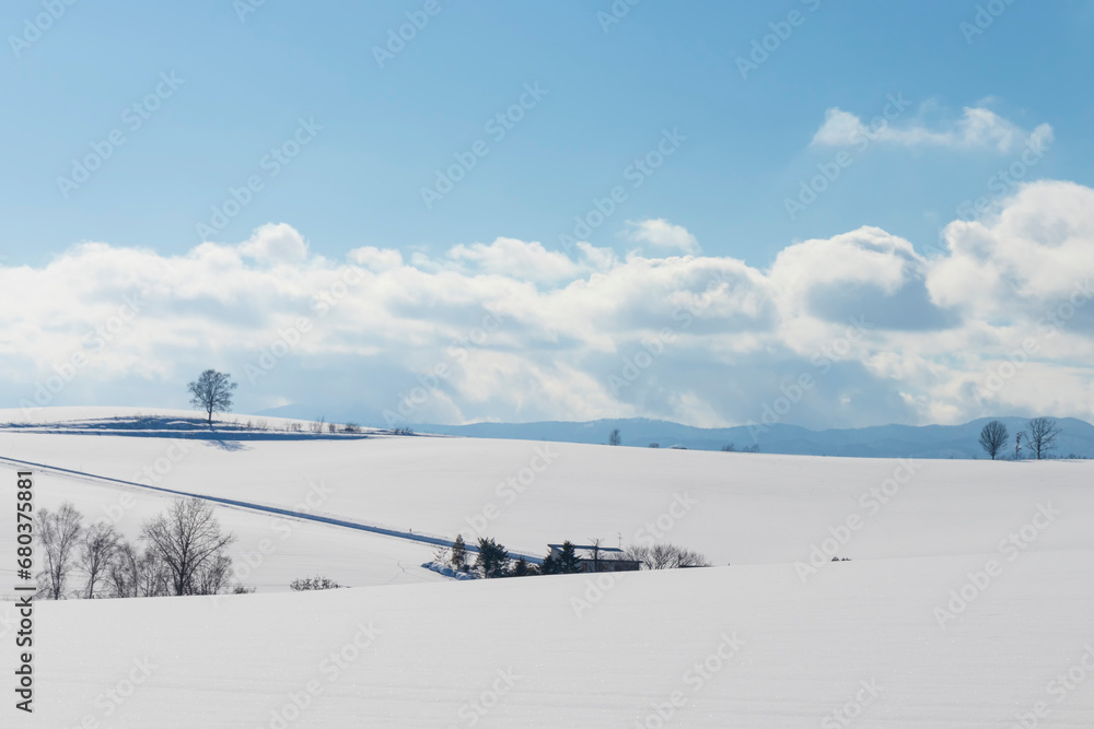 北海道美瑛町　美瑛の丘の雪景色