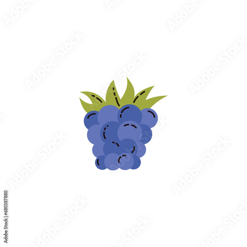 Blackberry sweet fruit vector illustration, cartoon fresh one bramble berry isolated on white, natural vitamin food