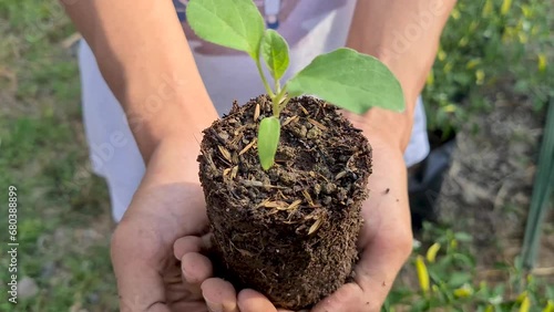 A person holding a small plant in their hands. Gently holding the plant, and their expression is one of tenderness. Suggests hope and growth, having potential to grow and flourish