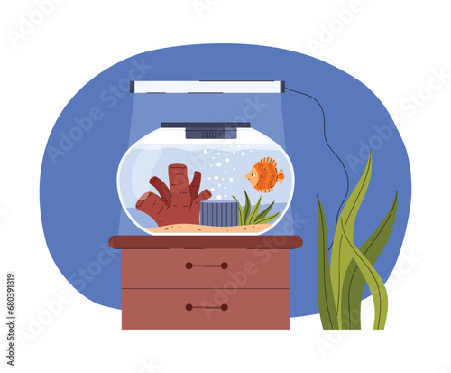 Home aquarium standing on drawer chest with a lamp and house plant on abstract background.