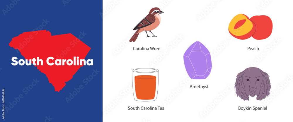 South Carolina states symbol object boykin spaniel peach amethyst carolina wren America country illustration