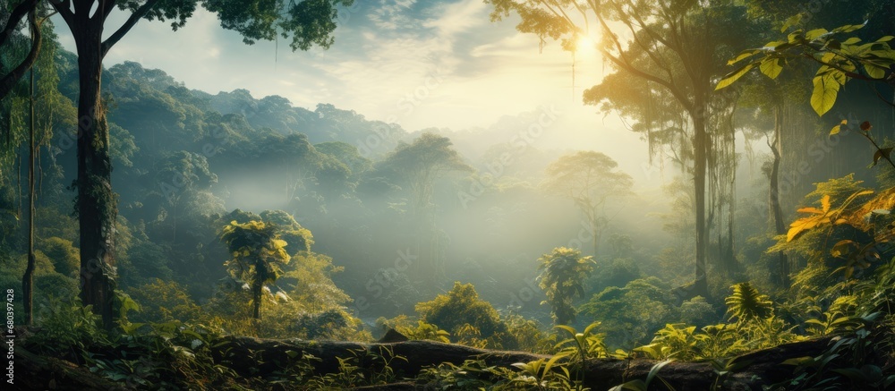 Fototapeta premium In the early morning light, the mist gently enveloped the landscape, revealing a mesmerizing scene of a tropical forest with towering green trees adorned with vibrant yellow foliage, creating a