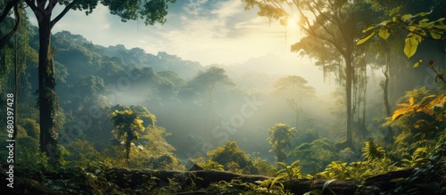 In the early morning light, the mist gently enveloped the landscape, revealing a mesmerizing scene of a tropical forest with towering green trees adorned with vibrant yellow foliage, creating a