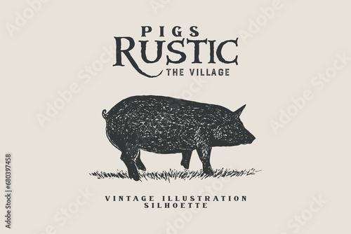 Pig illustration vector design with writing. textured pig silhouette.