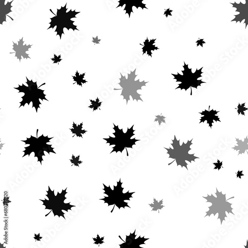 Seamless vector pattern with maple leafs, creating a creative monochrome background with rotated elements. Illustration on transparent background