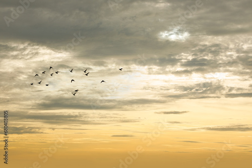 Silhouette of flying birds with sunrise sky.