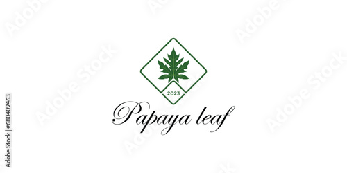 Creative papaya leaf design template with modern concept| premium vector