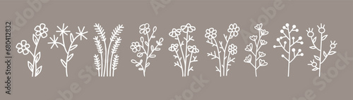 Doodle floral graphic elements. Hand drawn vector botanical flowers   plants and branches illustrations.