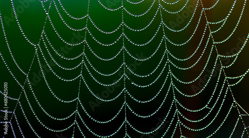 Delicate spider web with dew drops on wet patterned surface