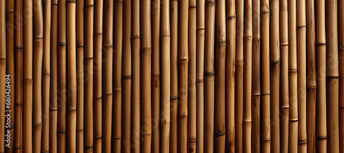 Panoramic Background of Bamboo Tubes Fence Texture