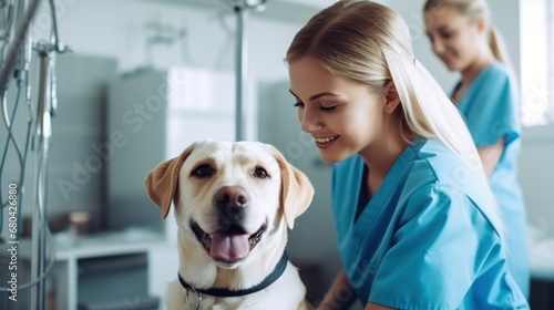 At a Modern Vet Clinic: Golden Retriever Sitting on Examination Table as a Female Veterinarian Assesses the Dog's Health. Handsome Dog's Owner Helps to Calm Down the Pet