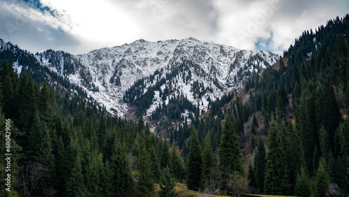 green forest at the foot of the mountains. clouds over the mountain peaks