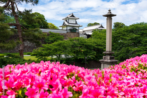 初夏の金沢旅行・ツツジの花と金沢城