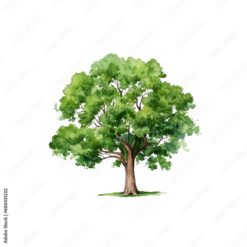 Tree watercolor clipart crop picture use Set of hand drawn trees. forest tree pack isolated transparent background PNG 300 DPI - obrazy, fototapety, plakaty 