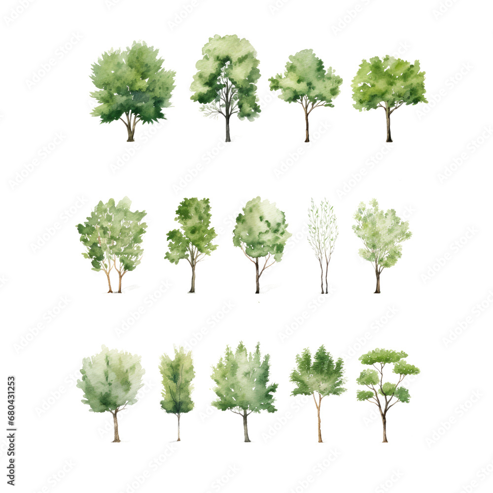 Fototapeta premium Tree watercolor clipart crop picture use Set of hand drawn trees. forest tree pack isolated transparent background PNG 300 DPI