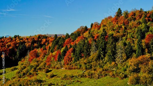 Foliage d'autunno nelle vallate di Camposilvano ai piedi dell'altopiano di Lessinia. Verona, Veneto photo
