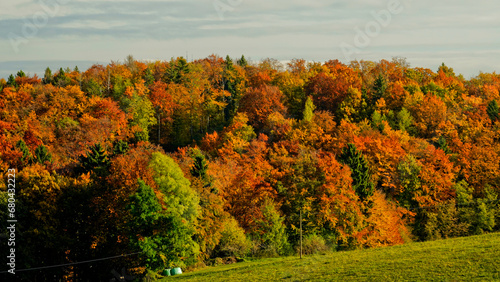 Foliage d'autunno nelle vallate di Camposilvano ai piedi dell'altopiano di Lessinia. Verona, Veneto